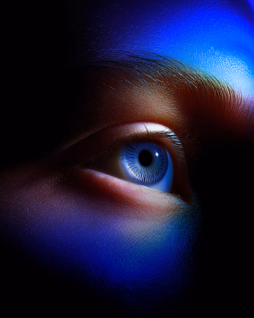 Creative Will portfolio project preview